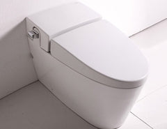 Toilets & Bidets